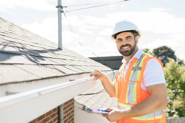 Best Roof Gutter Cleaning  in Trumansburg, NY