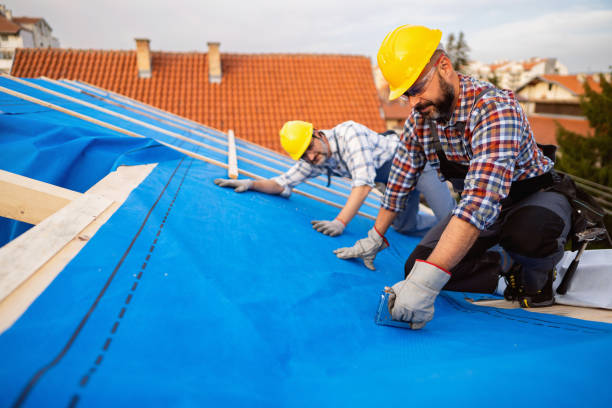 Best Roof Leak Repair  in Trumansburg, NY