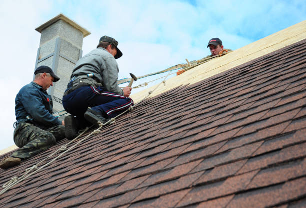 Best New Roof Installation  in Trumansburg, NY