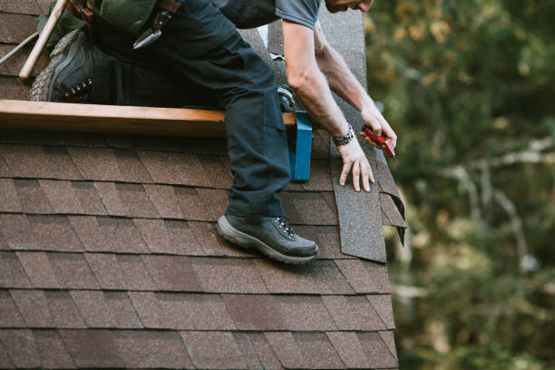 Best Residential Roof Replacement  in Trumansburg, NY